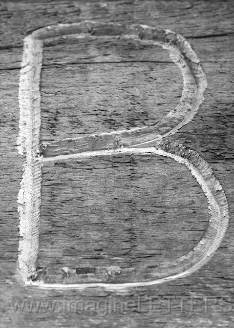 Wall_Art_Alphabet_Photography_Art_ 268.jpg